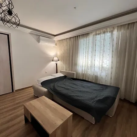 Mone نيا ميشانيونا