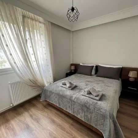 Mone نيا ميشانيونا