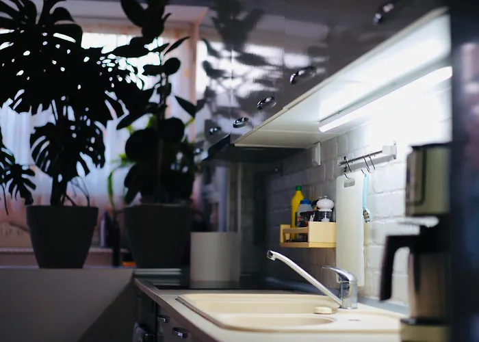 Апартаменты Mone *